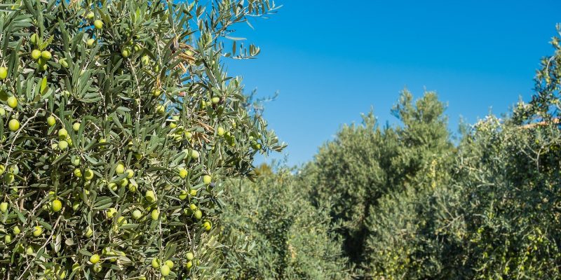 Valorisation d&rsquo;un espace naturel et accès à l&rsquo;eau potable