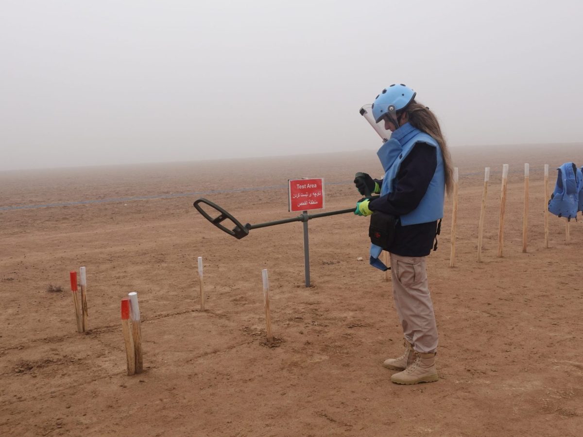 Démineuse dans la brume, opérations HAMAP