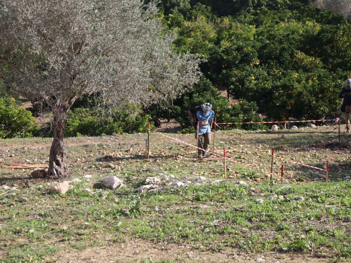 Un autre terrain